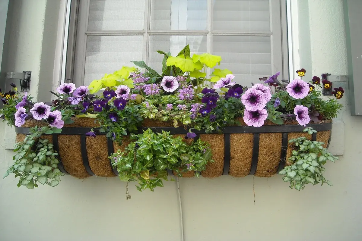 10 Creative Window Box Design Tips for Stunning Curb Appeal