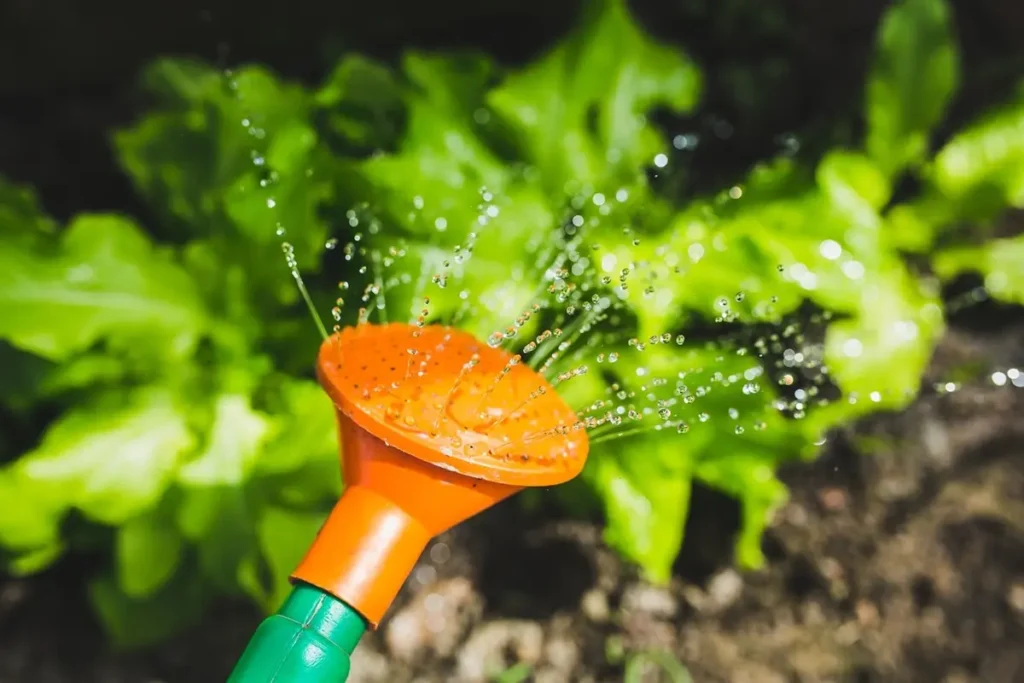 The Ultimate Guide to Automated Watering Systems: Revolutionize Your Garden Care in 2024